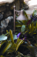 cast light 5.PNG (506202 bytes)