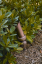 cast light 7.PNG (808298 bytes)